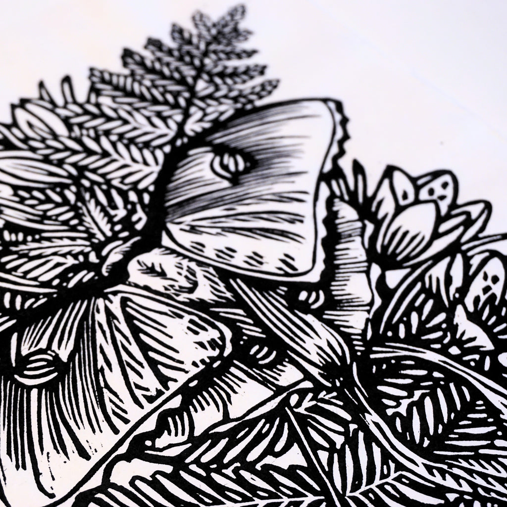 Luna Moth Hand-Pulled Relief Print