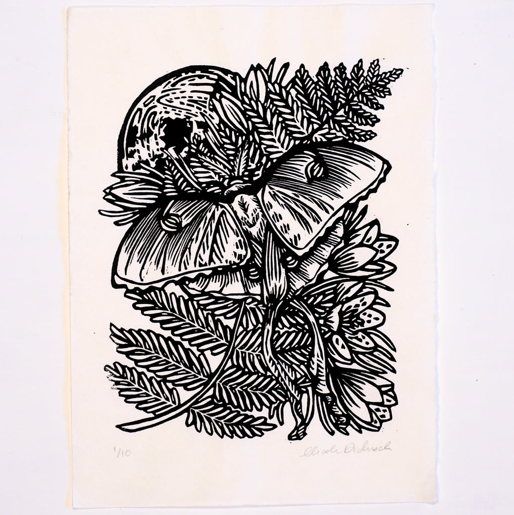 Luna Moth Hand-Pulled Relief Print